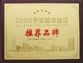 平安城市建设推荐品牌摆闸厂家